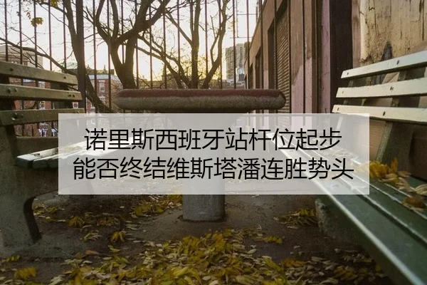 诺里斯西班牙站杆位起步 能否终结维斯塔潘连胜势头