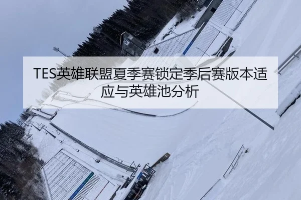 TES英雄联盟夏季赛锁定季后赛版本适应与英雄池分析